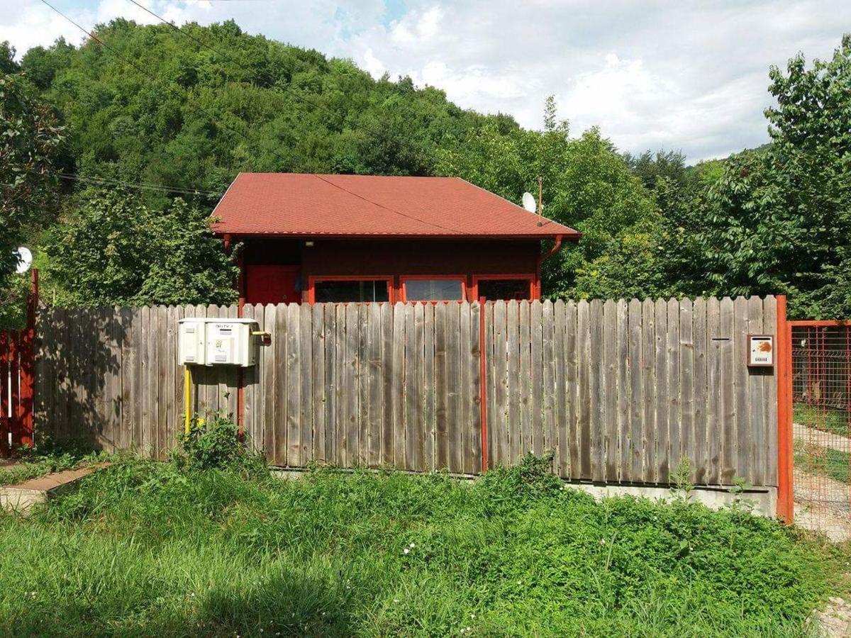 Canadian House Sarata-Monteoru Ngoại thất bức ảnh