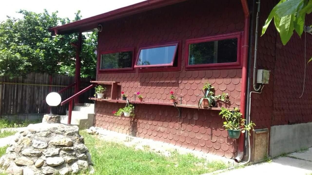 Canadian House Sarata-Monteoru Ngoại thất bức ảnh